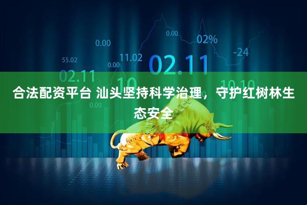 合法配资平台 汕头坚持科学治理，守护红树林生态安全
